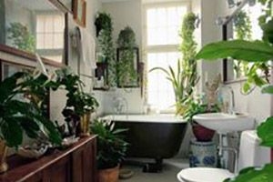 Bathroom with living wall or lots of green plant
