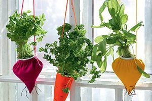Wall planter with fruit in it hanging in kitchen