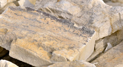 gallery-image-2